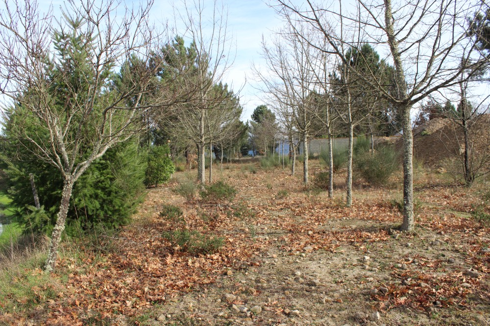 Venda - Terreno - Chaves