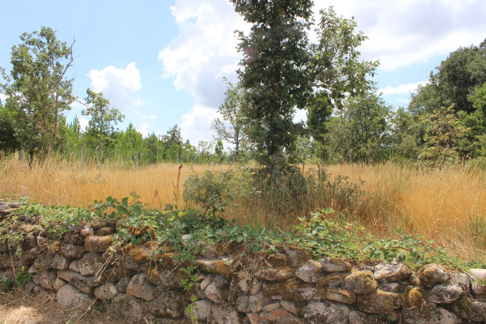 Venda - Terreno - Chaves