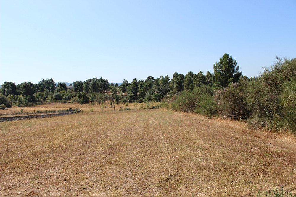 Venda - Terreno - Chaves
